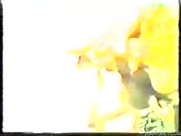 Naked bitched on outdoor dog sex